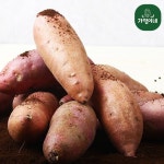 [가영이네] 호박 고구마 10kg(중) - NS홈쇼핑