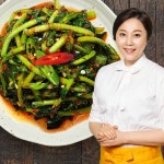 [etv] 양희경 진심 담은 열무김치 3kg - NS홈쇼핑