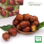 보은 황토 햇 생대추1kg (24mm) - NS홈쇼핑  보은 황토 햇 생대추1kg (24mm) - NS홈쇼핑