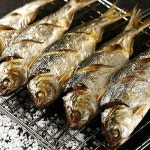강진 산지직송 가을제철 구이용 전어 1kg 13~17미 - NS홈쇼핑