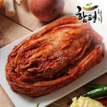 [함평천지] 함평나비골 남도식 포기김치 5kg / 무료배송 - NS홈쇼핑