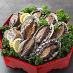 완도 전복 1kg 9-10미 - NS홈쇼핑