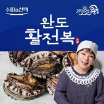 수미의선택 완도활전복 특대 19미 - NS홈쇼핑