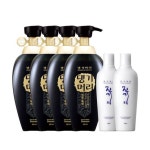 [댕기머리] 명품블랙 SET 2290ml - NS홈쇼핑