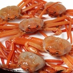 속초홍게(붉은대게)[고급형] 7kg(16-22마리내외) - NS홈쇼핑