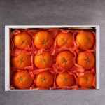 [빛과나무]자연속 빛가득 제주레드향세트 3kg(11-15입) - NS홈쇼핑