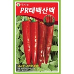 PR태백산맥고추씨앗 1200립 - NS홈쇼핑