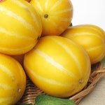 수야네농장 성주 참외 2kg 옵션선택 (실중량) - NS홈쇼핑