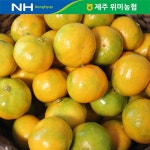 제주 위미농협 하우스감귤 3kg(35-45과) - NS홈쇼핑