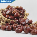 자연 그대로의 광양 옥곡 햇밤 3kg(중/대/특) 옵션선택 - NS홈쇼핑