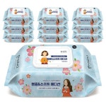 한예지 볼륨앤소프트 에디션 물티슈 100매 캡형 10팩 - NS홈쇼핑
