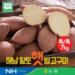 화산농협 해남 황토 밤고구마 특등급 7kg(3.5kg+3.5kg) - NS홈쇼핑  화산농협 해남 황토 밤고구마 특등급 7kg(3.5kg+3.5kg) - NS홈쇼핑