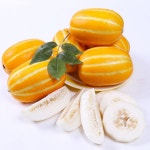 자연애 산지직송 성주참외 1kg(3~5과)로얄과 - NS홈쇼핑