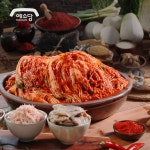 예소담 특포기김치 10kg - NS홈쇼핑