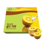G제주 제스프리 골드키위 선물세트 20과 대과 (100g내외)실중량 - NS홈쇼핑