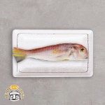 제주올레마켓 싱싱제주 통옥돔 110g x 3팩 (소, 냉동) - NS홈쇼핑