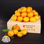 서귀포 하례마을 노지감귤 3kg+3kg (대과, L/2L, 60과 내외) - NS홈쇼핑