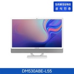 올인원PC DM530ABE-L55/삼성물류직배송 - NS홈쇼핑  올인원PC DM530ABE-L55/삼성물류직배송 - NS홈쇼핑