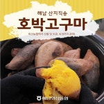 특등급 화산농협 해남 황토 호박고구마 8kg - NS홈쇼핑