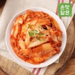 [손맛담은] 전라도식 겉절이 2kg - NS홈쇼핑