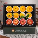 혼합과일 선물세트 5.5kg (사과/배/한라봉 각 4과씩) 제수/선물용 - NS홈쇼핑