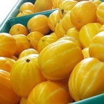 수야네농장 성주 참외 5kg 옵션 선택 (실중량) - NS홈쇼핑