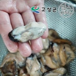 동성수산 국산 생물 홍합살 1kg / 경남고성 - NS홈쇼핑