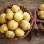 [농협] 수미감자 3kg/특/개당100-150g - NS홈쇼핑