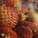 [공룡나라]우진푸드 고성가리비 5kg - NS홈쇼핑