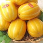 수야네농장 성주 참외 2kg (실속형) 옵션선택 /실중량 - NS홈쇼핑