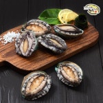 [완도전복] 명품 동백세트 참전복 1.64kg 내외 (91gx18마리) - NS홈쇼핑