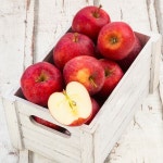 [초록자연] 부사 청송 사과 10kg (46-50과) 꿀부사 - NS홈쇼핑