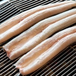 손질 통영 바다장어 대 1kg(2~3미) - NS홈쇼핑