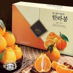 조은돌담 제주 한라봉 선물세트 (2.5kg, 10-13과, 실중량) - NS홈쇼핑