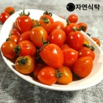 G 고당도 스테비아 단마토, 대추방울 샤인마토 500g x 4팩(2kg) 실중량 - NS홈쇼핑  G 고당도 스테비아 단마토, 대추방울 샤인마토 500g x... 
