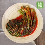 [손맛담은] 시원깔끔 갓김치 1kg - NS홈쇼핑