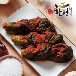 [함평천지] 함평나비골 남도식 갓김치 3kg - NS홈쇼핑  [함평천지] 함평나비골 남도식 갓김치 3kg - NS홈쇼핑