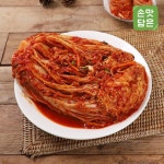[손맛담은] 맛있는 보쌈김치 10kg - NS홈쇼핑
