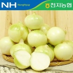 [함평천지농협] 23년산 양파 5kg/10kg (대/특/왕) - NS홈쇼핑