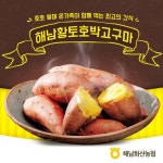 [TV]화산농협 해남 황토 호박고구마 7kg - NS홈쇼핑  [TV]화산농협 해남 황토 호박고구마 7kg - NS홈쇼핑