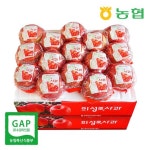 [농협] 아삭달콤 의성 진 세척사과 정품 2.5kg＋2.5kg (28~32과내) - NS홈쇼핑