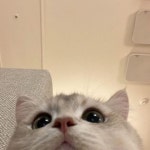 서든1짱정현 's blog - AfreecaTV