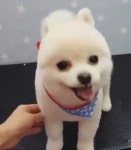 액션본능! 사이퍼즈 오늘 저녁은 무슨 치킨모글까