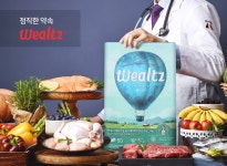 프리미엄 고양이 사료 올라이프캣 2.1kg(Pet food, 영양사료) - 사는 게 즐겁다! 롯데닷컴