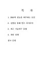 DSSC최종 설계 보고서 레포트