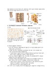 추간판탈출증 HNP 케이스 스터디 레포트