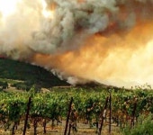 배경화면하면 떠오르는 그것! XP의 초원 근황입니다