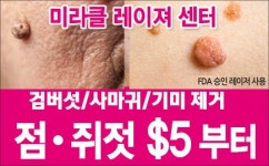 도산태권도장 초등생부터 성인을 위한 모든 프로그램 제공 - 라디오코리아