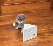 치즈야 냥이랑 놀자 - 라디오코리아