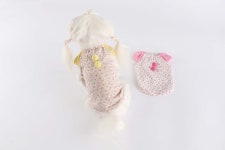 rddpetshop PET CLOTHING 695360 < [TOP]  꽃 티 {XS~XL} < BABY & HOUSING < PET < PET CLOTHING [OKDGG] rddpetshop PET CLOTHING 695360